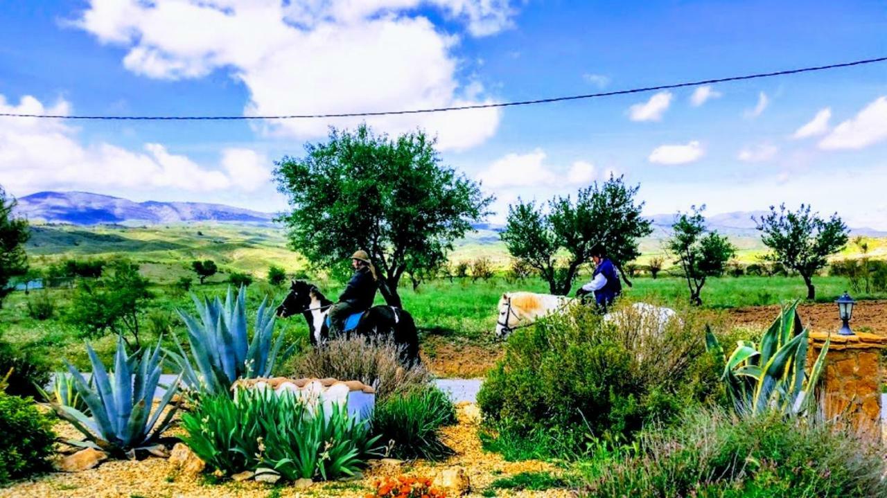 Casa Con Vistas Διαμέρισμα Serón Εξωτερικό φωτογραφία